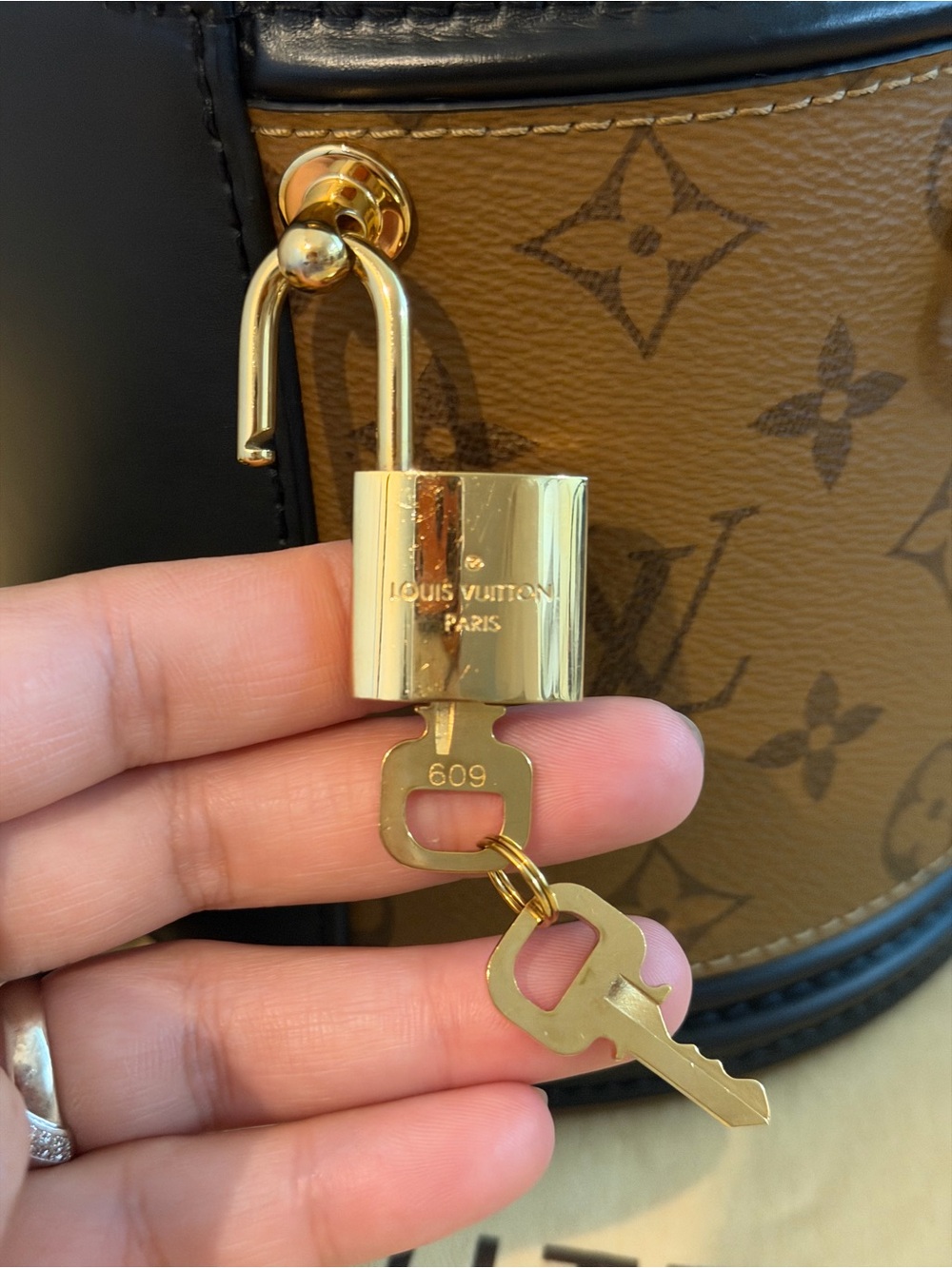 Louis Vuitton Cannes Monogram Reverse - Picture 7 of 13